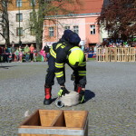 IMG_0544